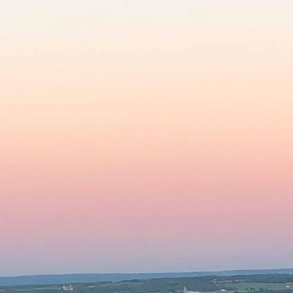 Meet your Posher, Rheannon